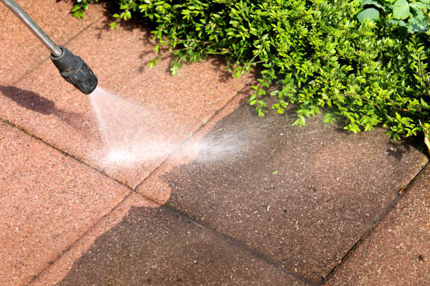 Best Local Pressure Washing Services  in White Sulphur Springs, MT